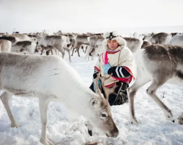 Finlandia Gallery exhibition on Saami reindeer herders